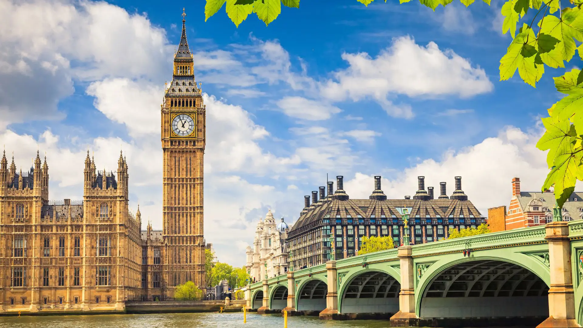  OptimizedImage,,,Optimized