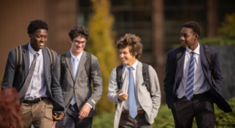  OptimizedImage,Optimized