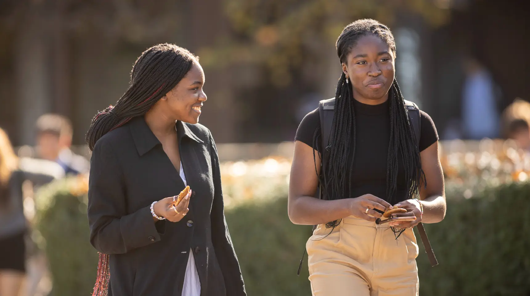 OptimizedImage,Optimized