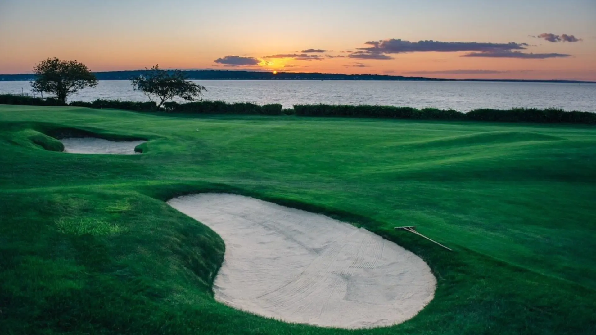  OptimizedImage,,,Optimized