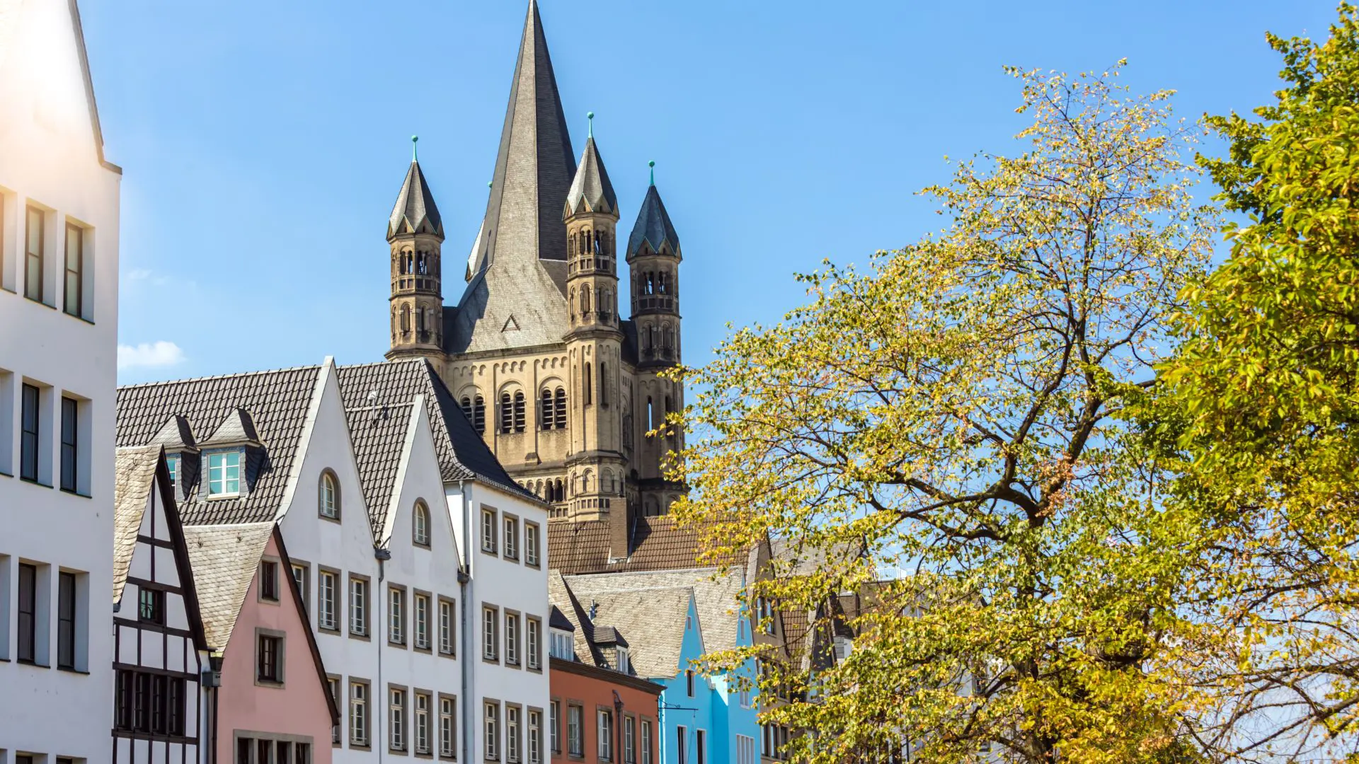  OptimizedImage,,,Optimized