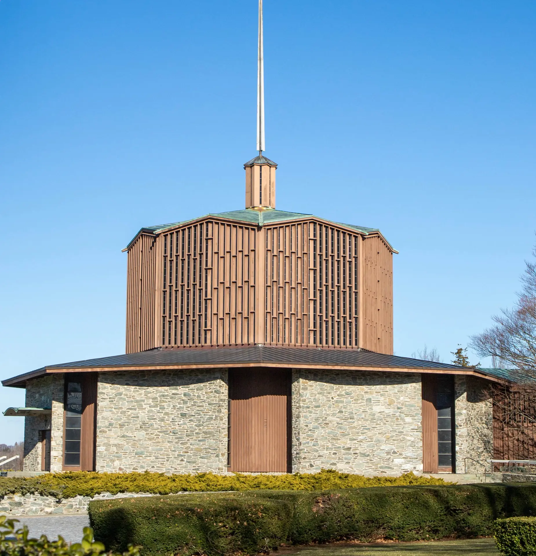 OptimizedImage,Optimized