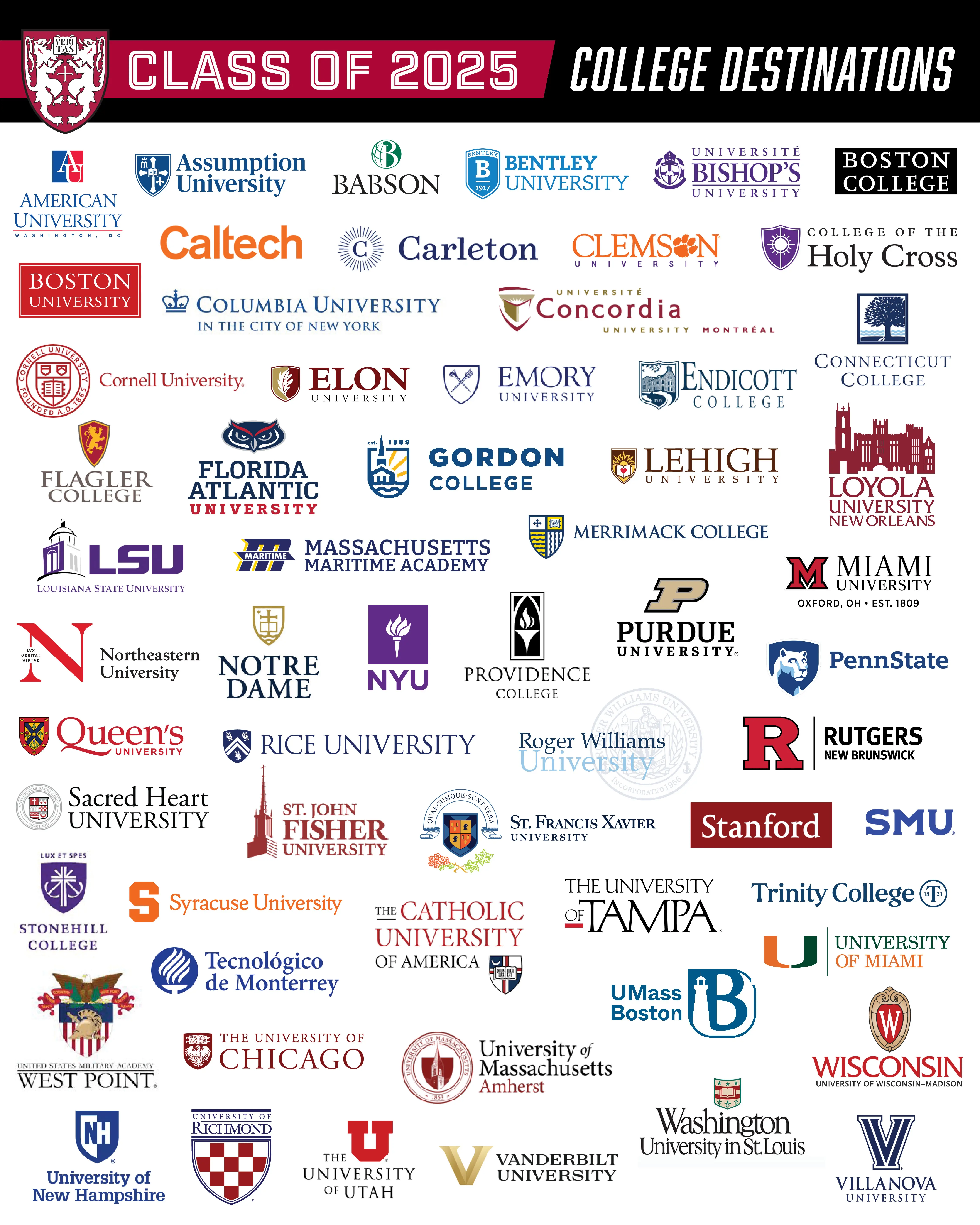  OptimizedImage,Optimized