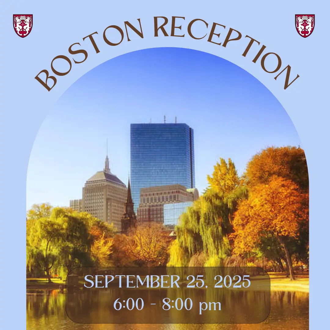  OptimizedImage,Optimized