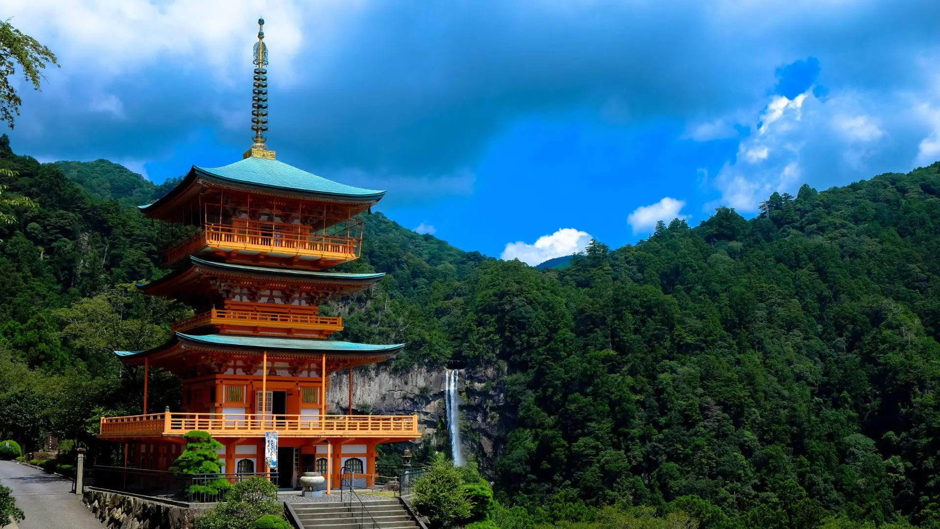  OptimizedImage,,,Optimized