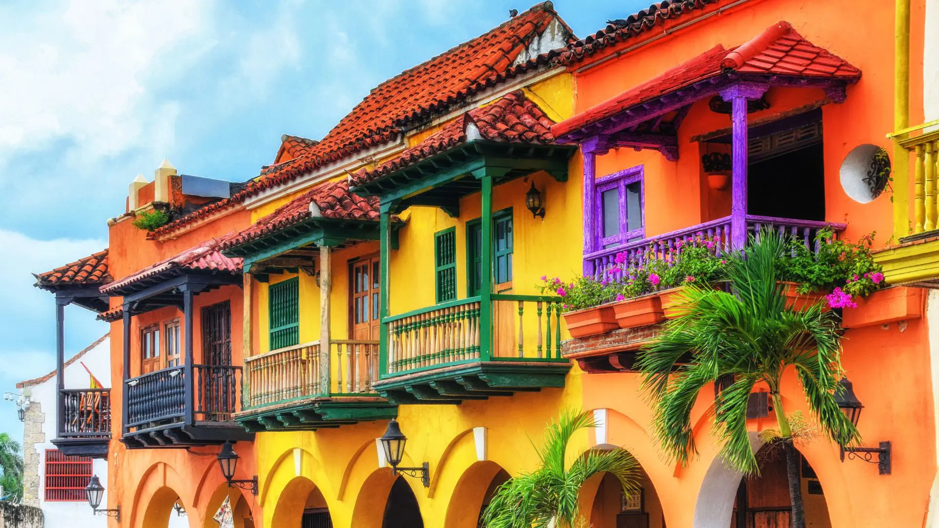  OptimizedImage,,,Optimized