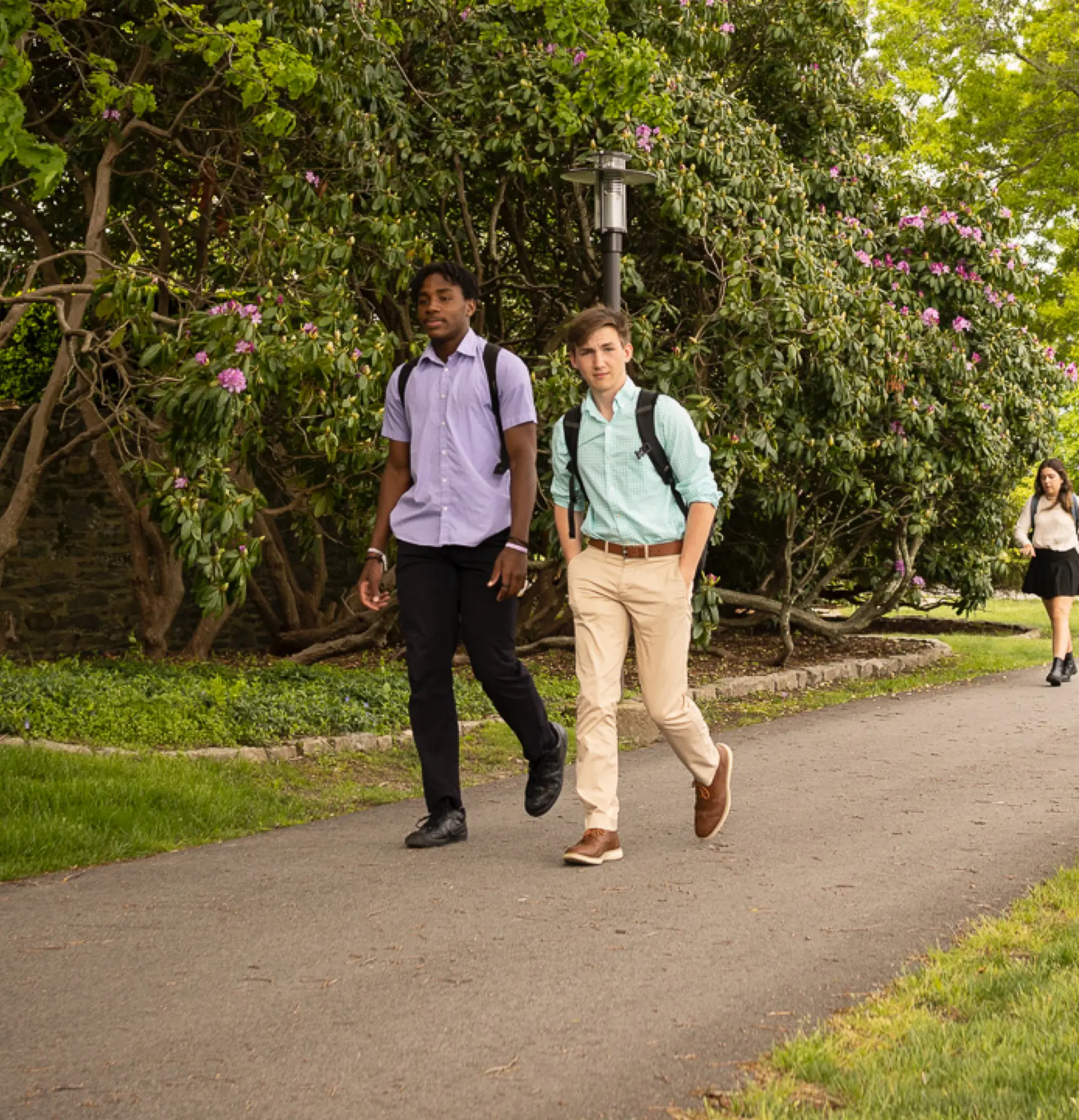 OptimizedImage,Optimized