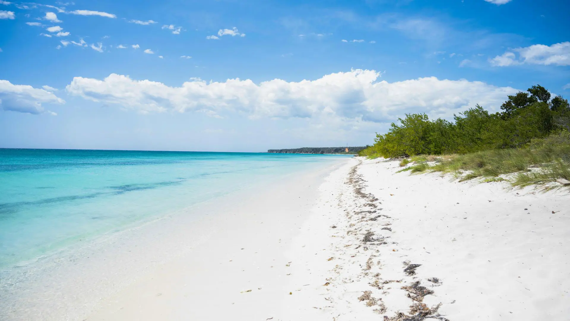  OptimizedImage,,,Optimized