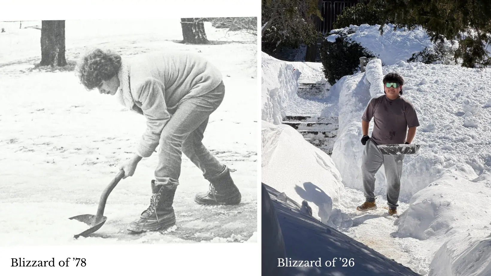  OptimizedImage,,,Optimized