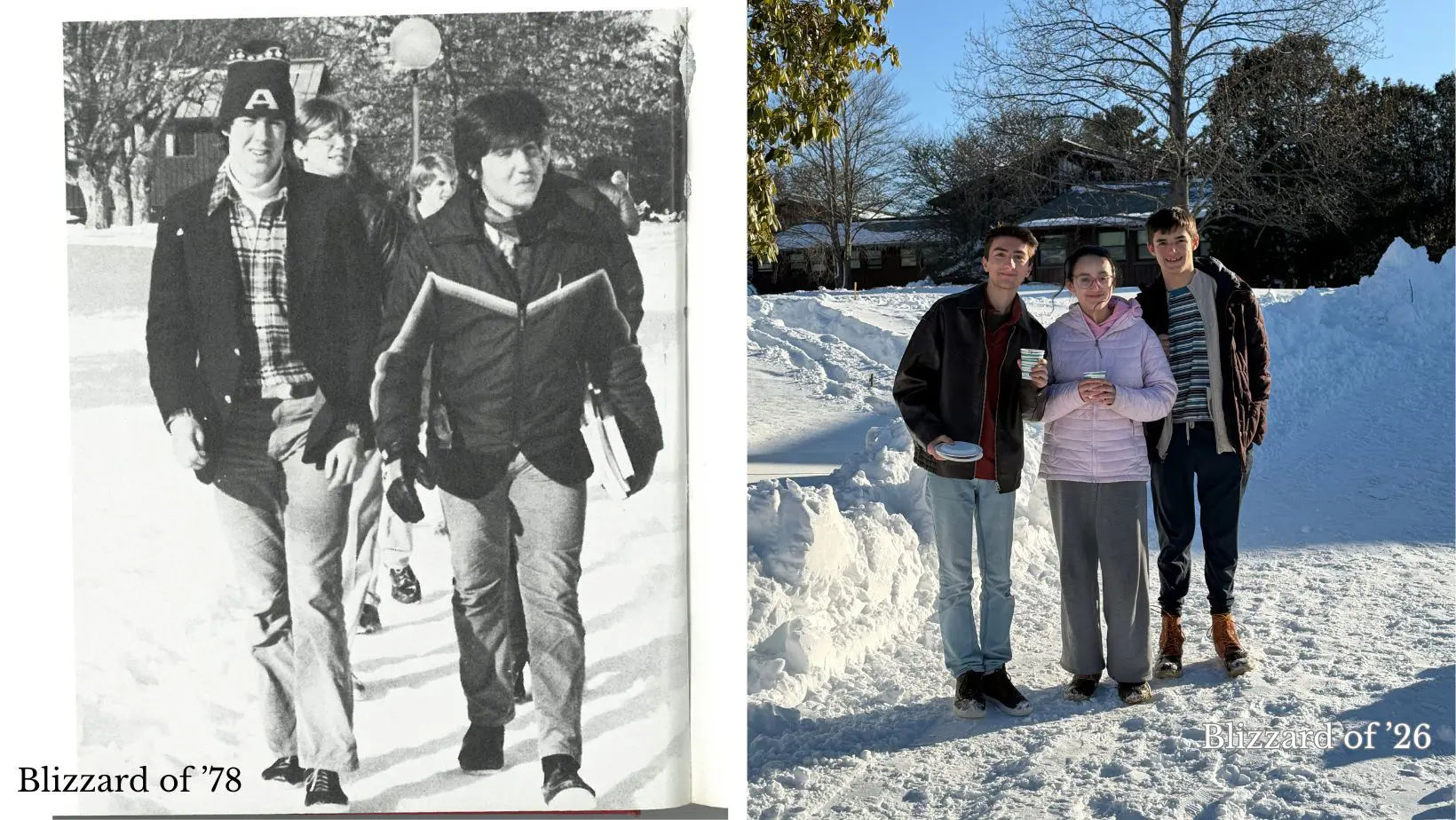  OptimizedImage,,,Optimized