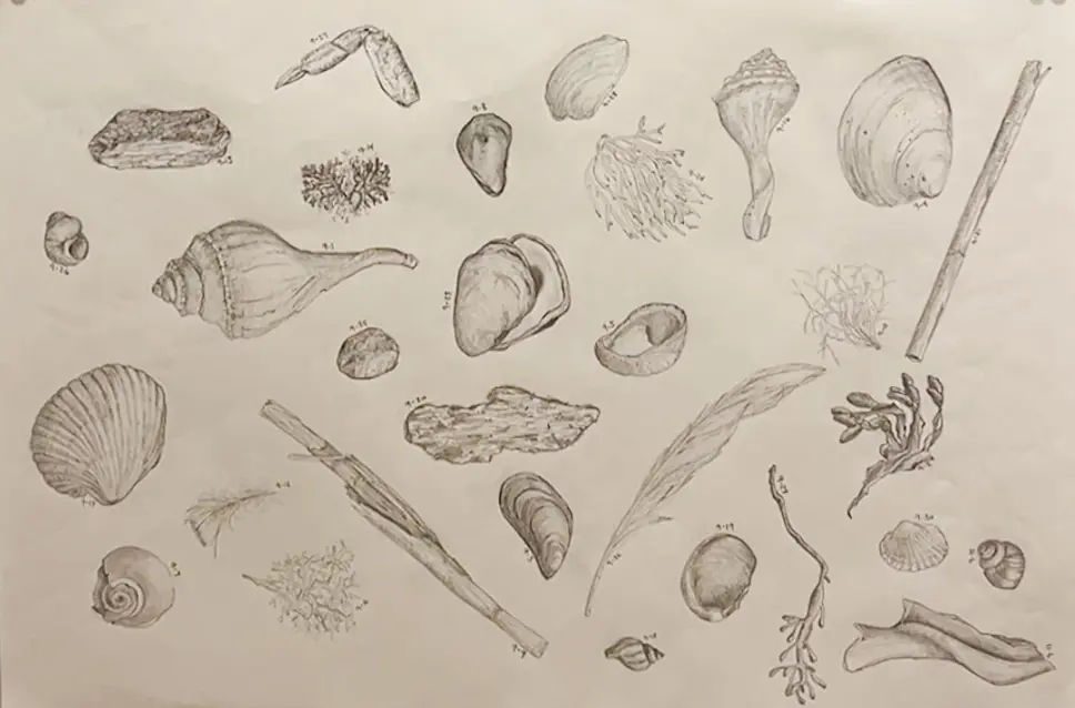 OptimizedImage,Optimized