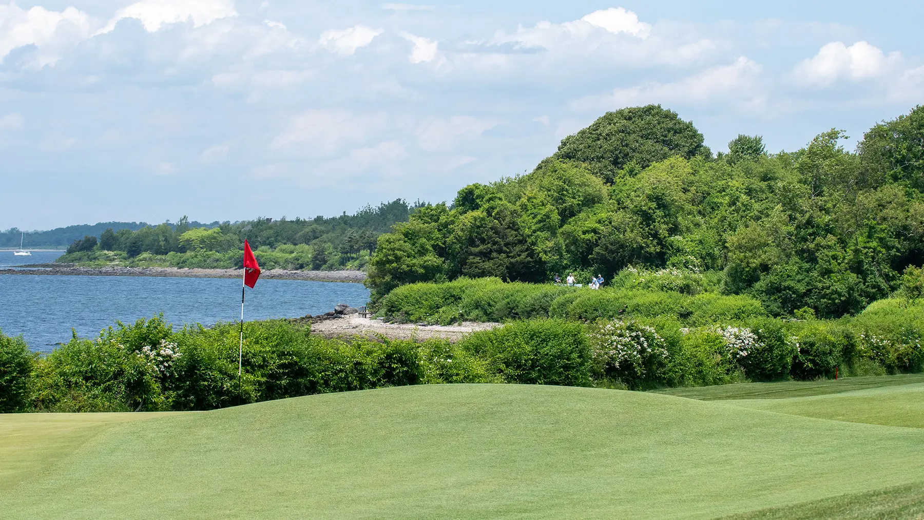  OptimizedImage,,,Optimized