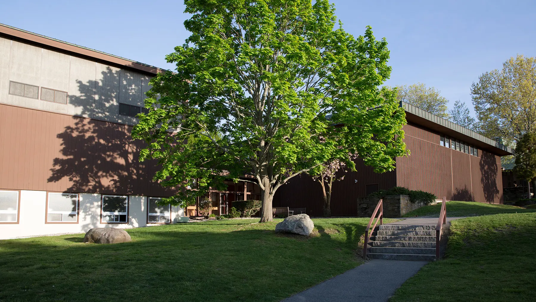  OptimizedImage,,,Optimized