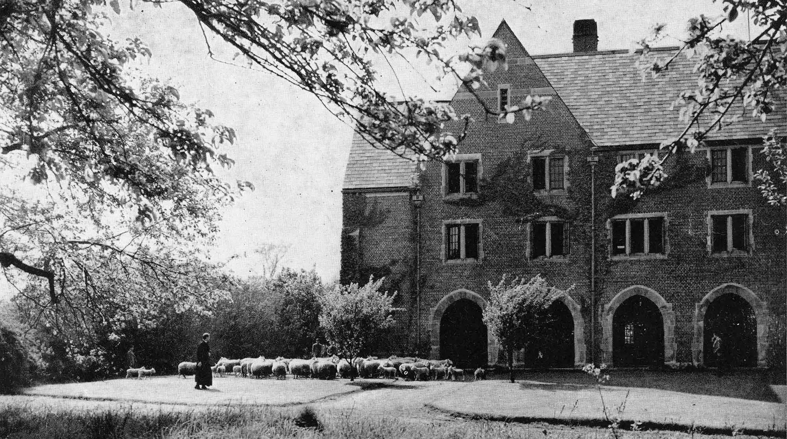History and Tradition