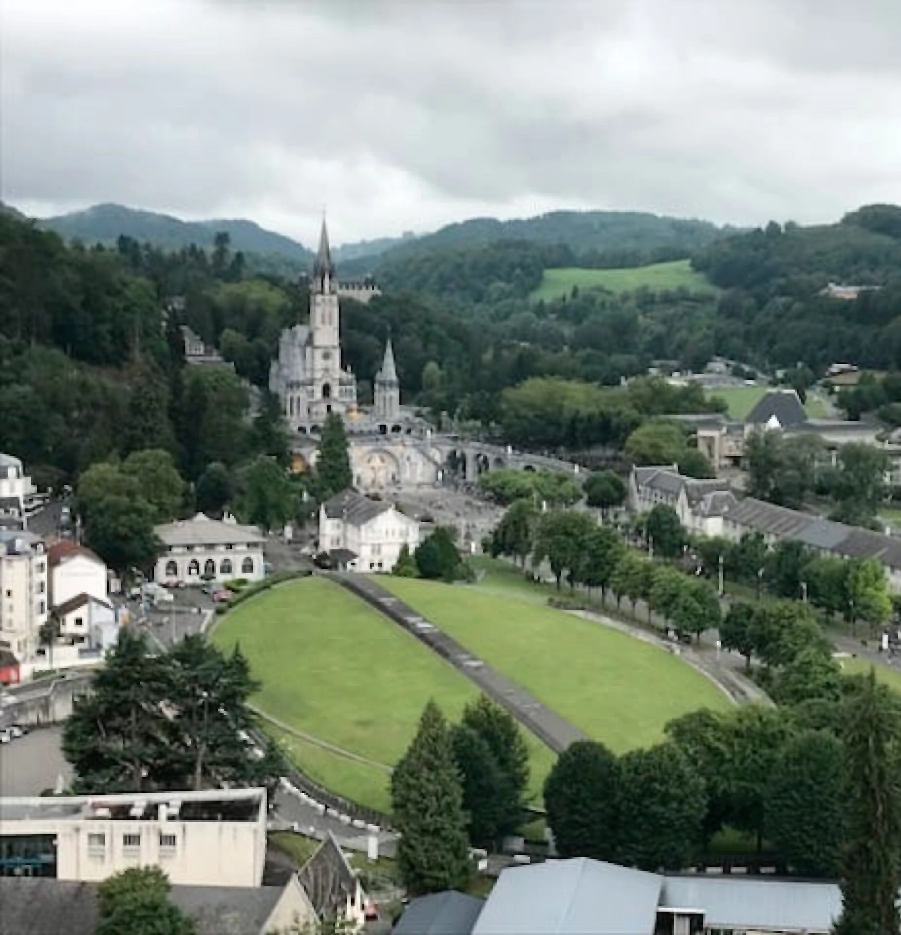  OptimizedImage,Optimized