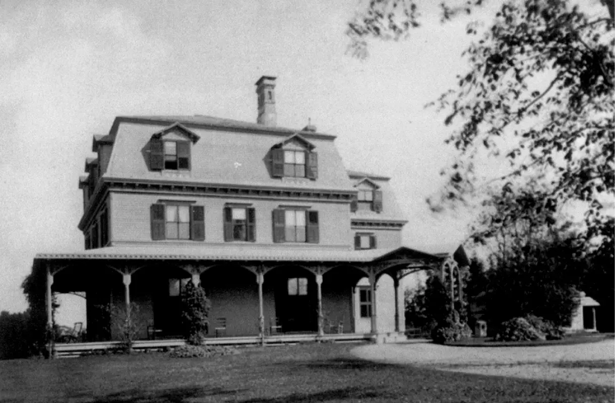 OptimizedImage,Optimized