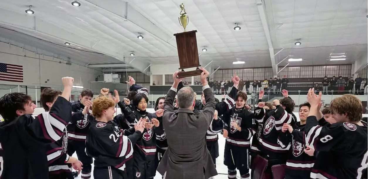  OptimizedImage,Optimized