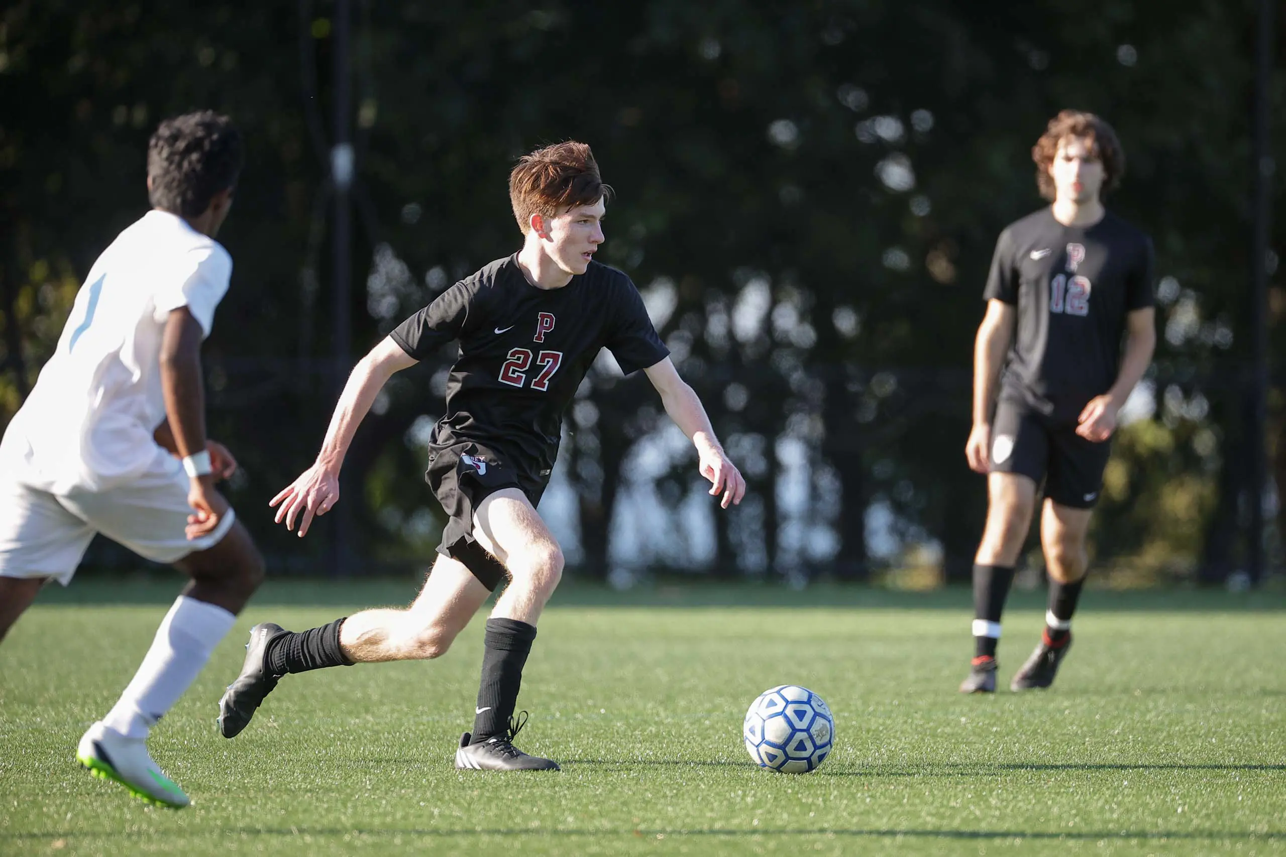  OptimizedImage,Optimized