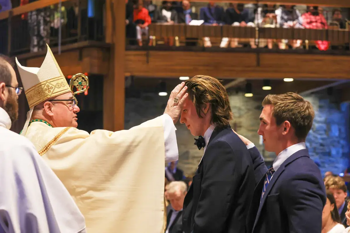 OptimizedImage,Optimized