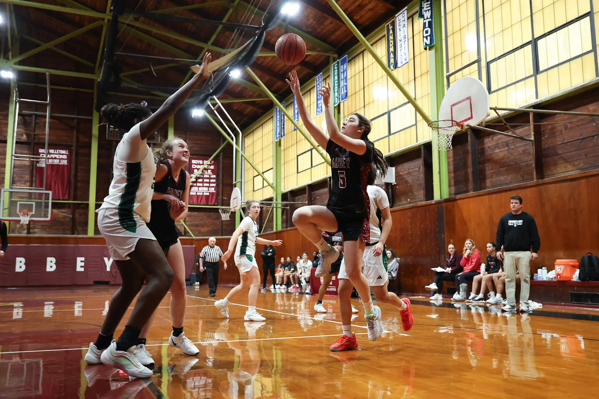  OptimizedImage,Optimized