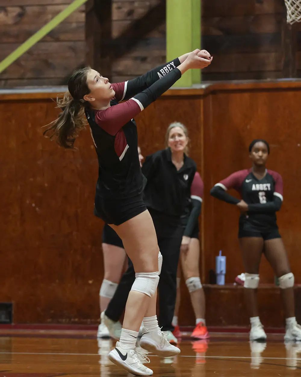 OptimizedImage,Optimized