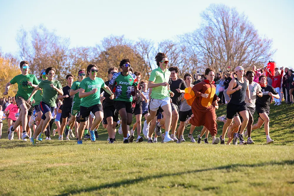  OptimizedImage,Optimized