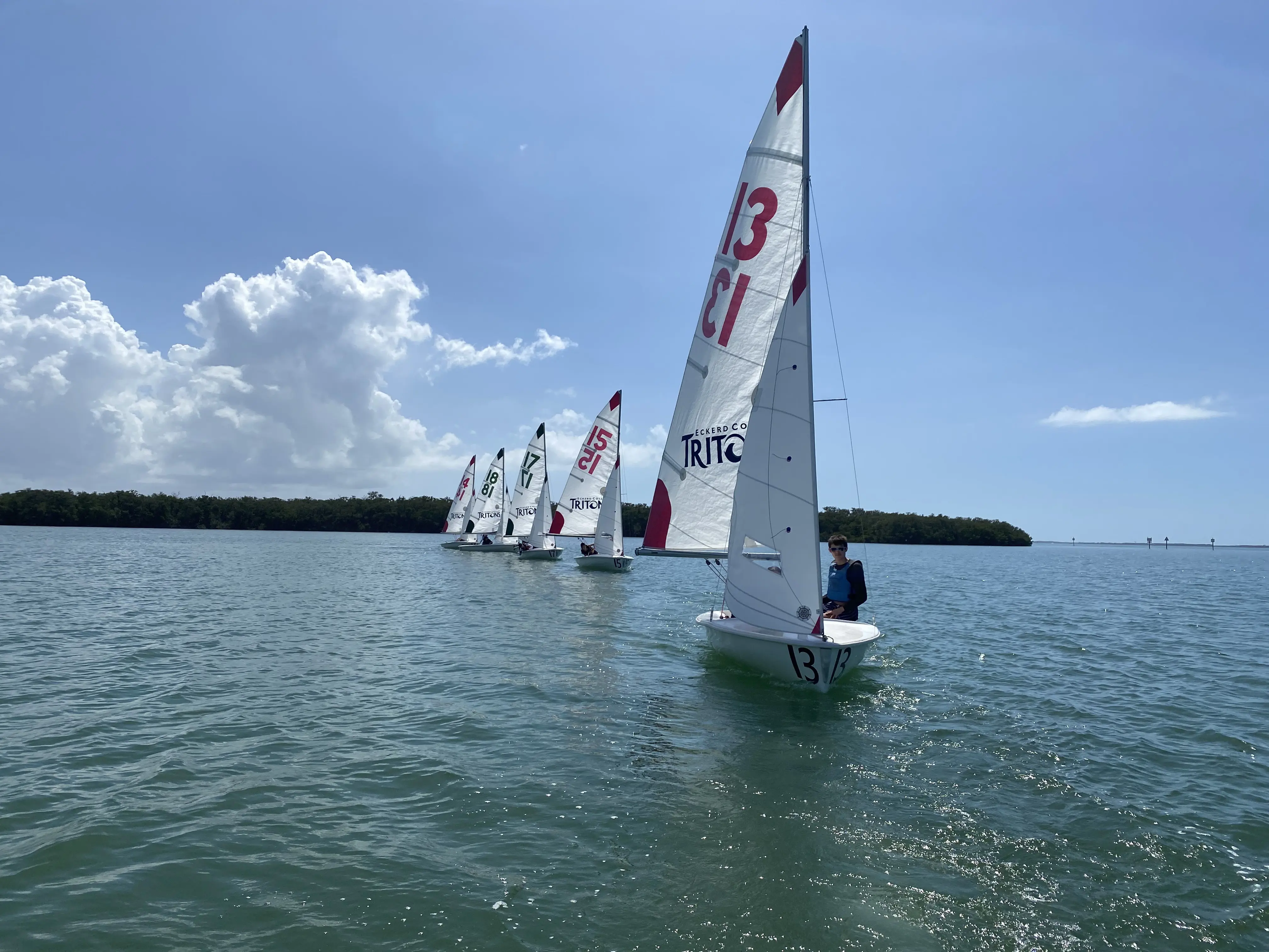 OptimizedImage,,,Optimized