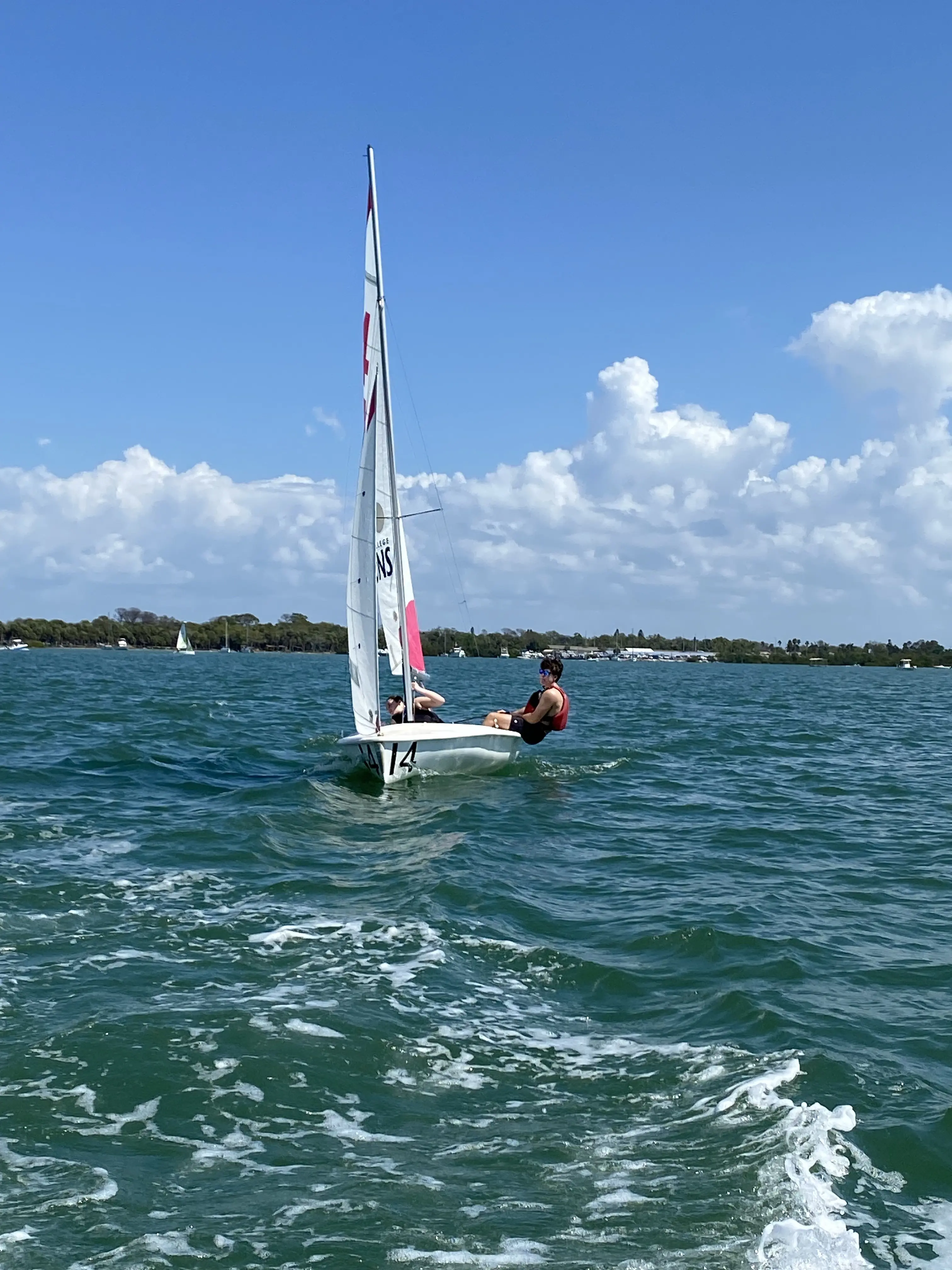 OptimizedImage,,,Optimized