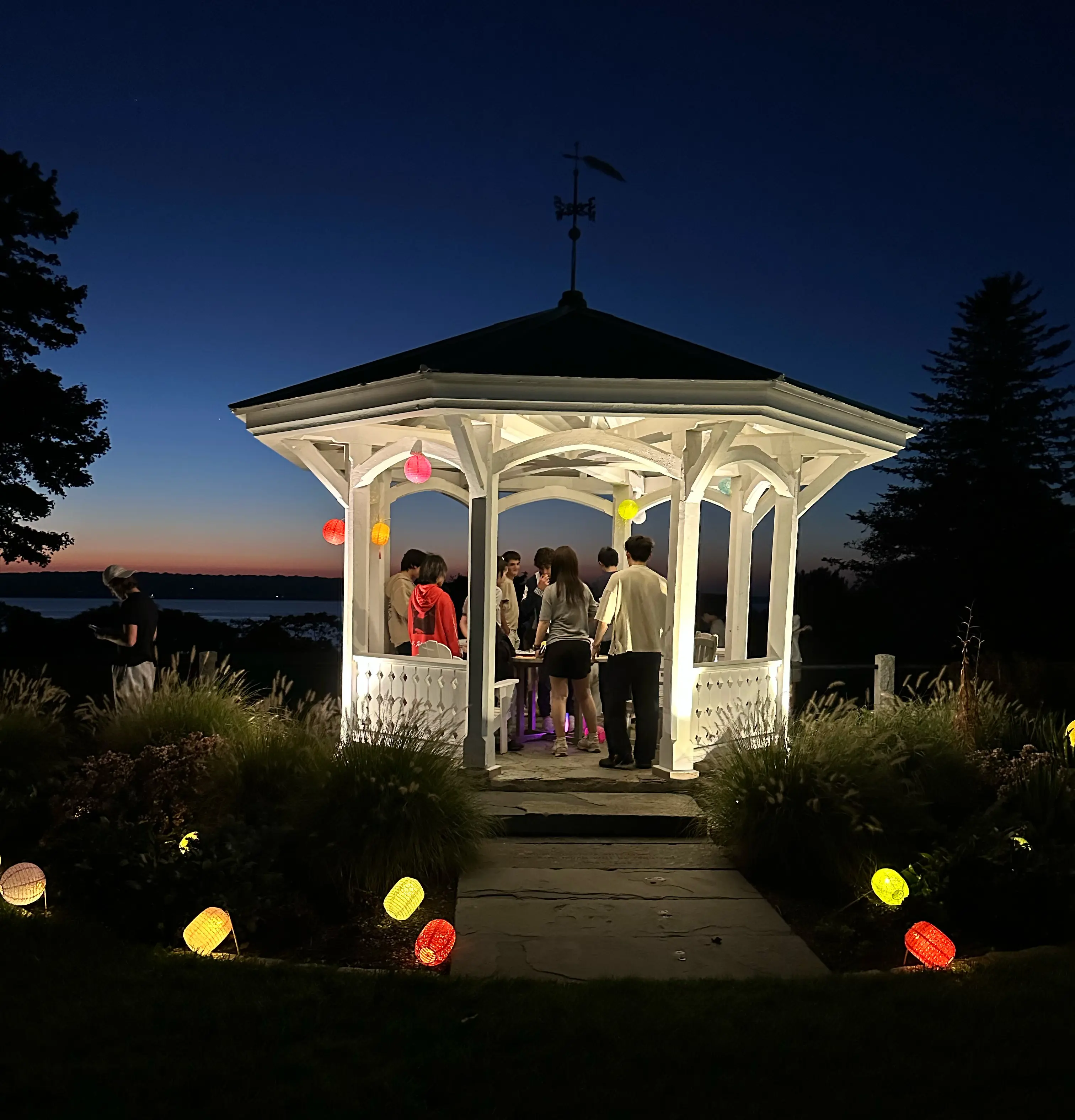  OptimizedImage,,,Optimized