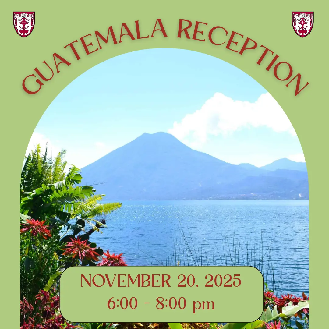  OptimizedImage,,,Optimized