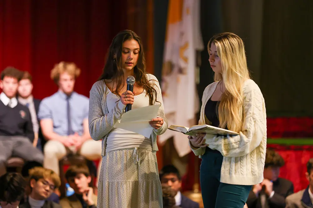 OptimizedImage,Optimized