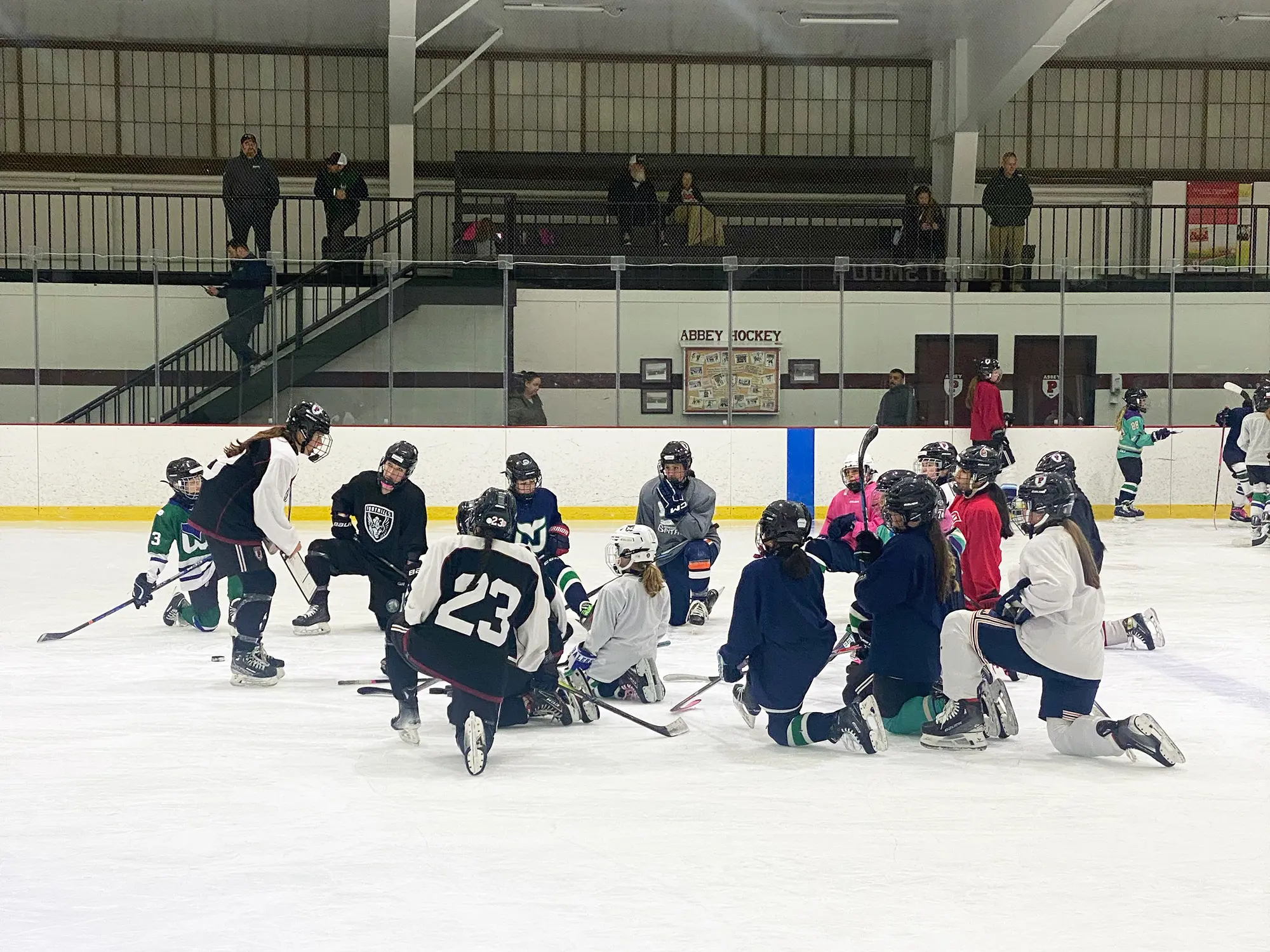  OptimizedImage,,,Optimized