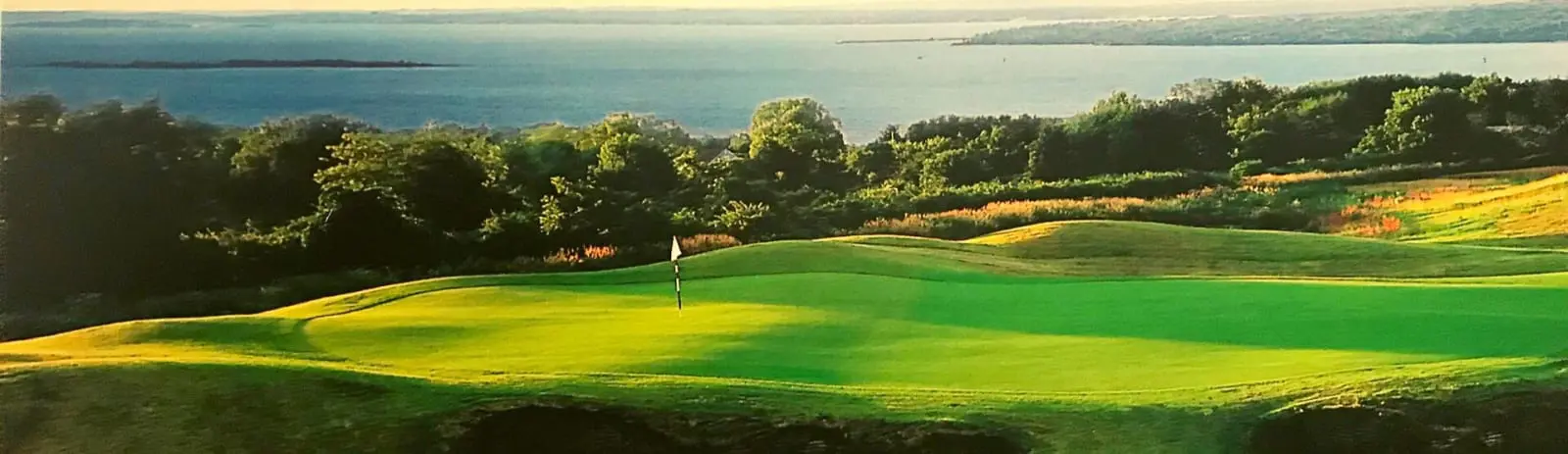 OptimizedImage,Optimized